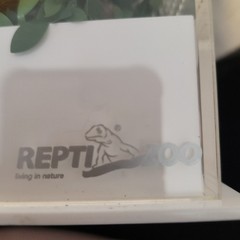 REPTIZOO Small Reptile Enclosure Ventilation Mesh Top Wood Decor 8x4x3 Inches