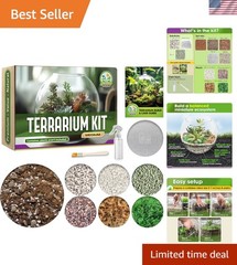 All-Inclusive Indoor DIY Terrarium Kit – Grow Your Own Lush Ecosystem Today!