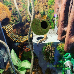 Mossy Caves, Artificial Green Moss Caves Hide for Pet Reptile Frogs and Snakes,