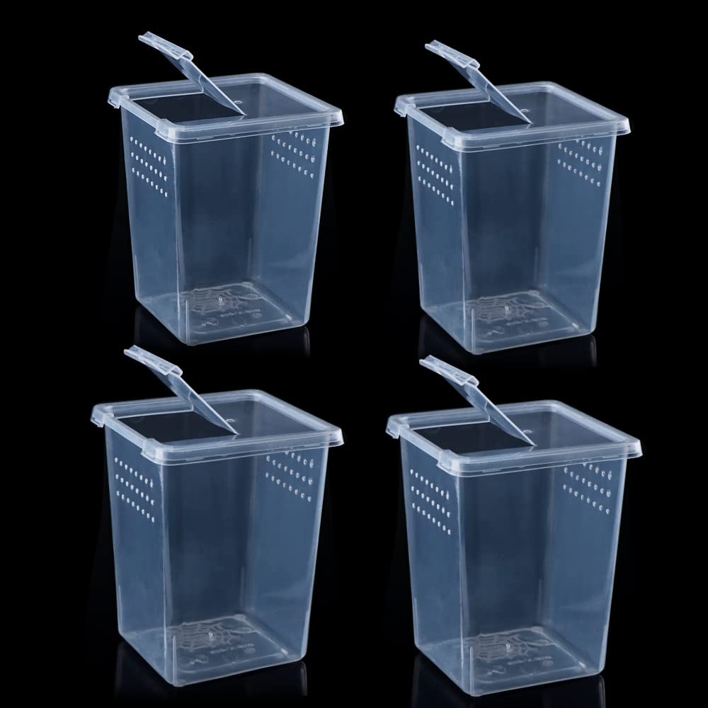 4 PCS Insect Spider Terrariums Breeding Box Hatching Container Arboreal
