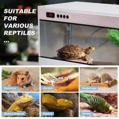 Reptile Tank, Low Reptile Terrarium 40″x16″x16″ for Lizard Gecko Tortoise Snake
