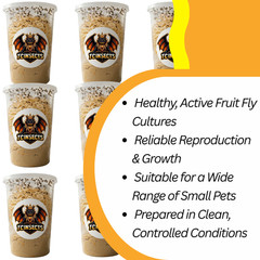 TC INSECTS 32oz Hydei Fruit Fly Culture Live Feeder Insects