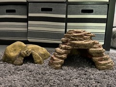 40 Gal Terrarium, Stand and Accesories