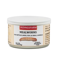 JADINGSFARM 6 Pack Canned Mealworms for Reptiles, Fish, 7.2 Ounce (Pack of 1)