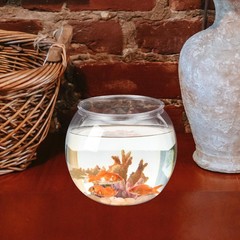 Mipcase Unbreakable Transparent Fish Tank Globe 5.90In 15x13cm, As Shown
