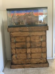 custom stand Reptile Tank