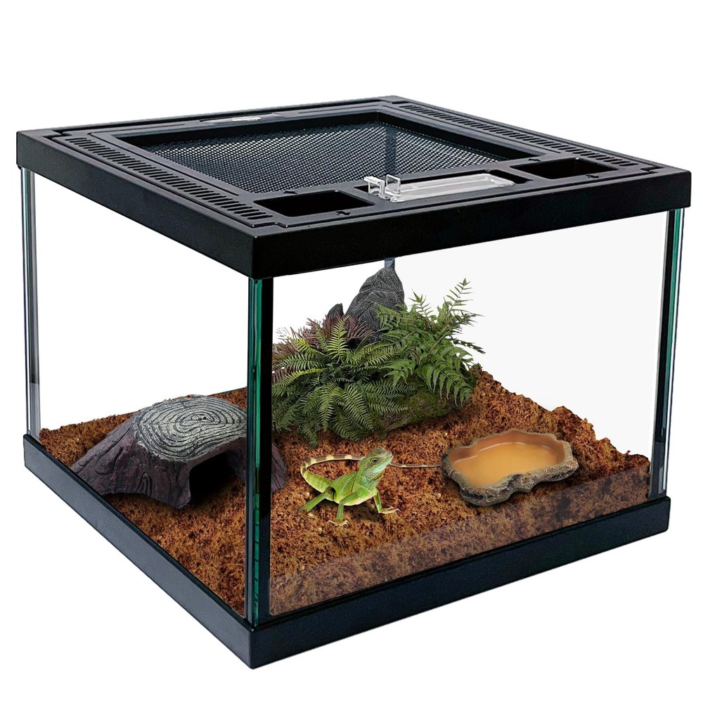 Mini Reptile Glass Terrarium Tank 8 * 8 * 6″ Full View, Amphibians Box Habita…