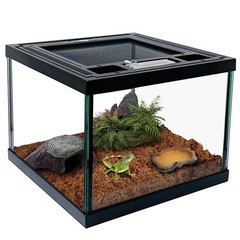 Mini Reptile Glass Terrarium Tank 8 * 8 * 6″ Full View, Amphibians Box Habita…