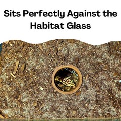 Reptile Underground Cave Viewing Hide Hognose Snake Leopard Gecko Habitat