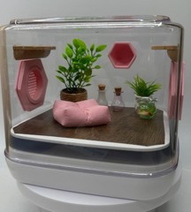 Mini Jumping Spider Enclosure – Pink Paradise Habitat for Pet Spiders