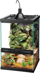 Glass Terrarium Starter Kit with Mini Halogen – For Crested Geckos & Tree Frogs#