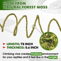 6.5FT Reptile Vine & Moss Set for Climbing Bendable Branch, Natural Moss Rope…