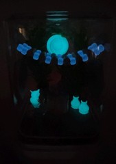 Blue Glow Spider Enclosure – Stylish Pet House for Jumping Spiders