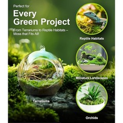 Live Moss Terrariums & Reptiles Humidity Support Natural Growth 2 Pieces New