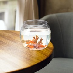 Mipcase Unbreakable Transparent Fish Tank Globe 5.90In 15x13cm, As Shown