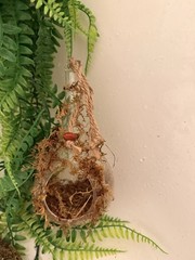 Reptile Habitat Accessories Bundle for Terrarium
