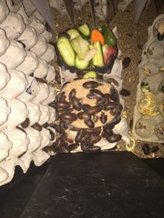 Large dubia roaches
