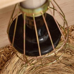 Reptile Heat Lamp Guard Bird Turtle Cage Pets Amphibians Supplies Convenient