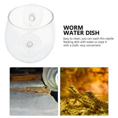 Reptile Feeder Escape Food Box Feeding Basin with Suction Cup Gecko Feeding Box