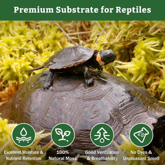 5.3OZ Premium Sphagnum Moss for Reptiles- 6QT Natural Reptile Moss Dried, Forest