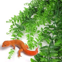 Reptile Plants Hanging Fake Vines Boston Climbing Terrarium Plant with Suctio…