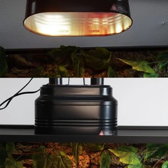 Aiicioo Dual Reptile Light Fixture – Bearded Dragon Light Fixture Double Reptile
