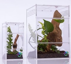 Jumping Spider Enclosure Terrarium Kit Arboreal Tarantula Habitat