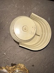 Reptile Waters Feeders Magnetic Hide Rock