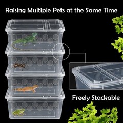 6 Pack Reptile Feeding Box Breeding Transparent color