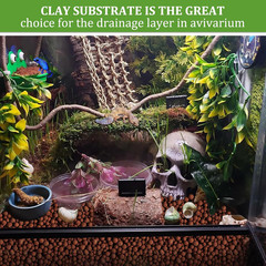 Clay Pebbles 2LB Terrarium Substrate Drainage Layer Reptile Balls