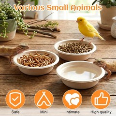 300 Pack 1 Oz Gecko Feeding Cups Food Cups Disposable Paper Bowls Reptile Wat…