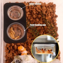 ANCKNE 200 pcs 0.5oz Crested Gecko Food and Water Feeding Cups | Transparent