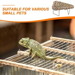 Large Lizard Grass Bed Lounger for Bearded Dragon Rest Gecko Sleeping