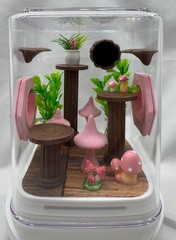 Acrylic Pink Pad Jumping Spider Terrarium – Cute Home Enclosure