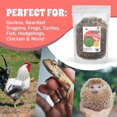 Dried Crickets (2.2 lbs) for Reptiles, Birds, and Small Pets – Natural Insect…
