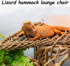 Bearded Dragon Hammock Reptile Lounger Reptiles Plants Hanging Fake Vines Boston