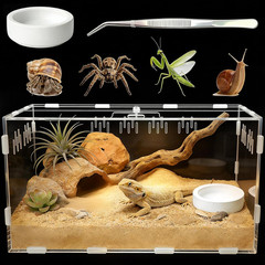 Acrylic Reptile Terrarium with Magnetic Door Spider Gecko Insect Tank
