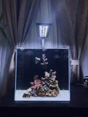 LED Aquarium Light for 12-20 Inch Tanks, Full Spectrum Fish Tank Light with 2…