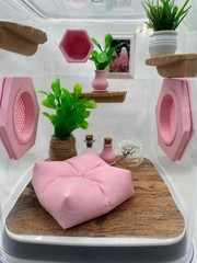 Pink Paradise Jumping Spider Terrarium with Customizable Enclosure Accessories