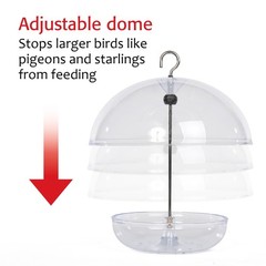 Mealworm Feeder – Jacobi Jayne® Pearl Feeder – Dome Bird Feeder for Small B