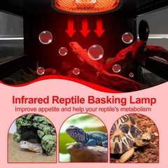 G9 Reptile Heat Lamp, Terrarium Heating Lamp Fixture with 50W UVA Low Profile…
