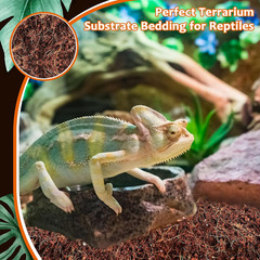 2 Pack Natural Coconut Fiber Substrate for Reptile- Premium Compressed Coconut H