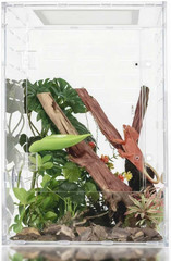 12″ X 12″ X 18″ Clear Acrylic Reptile Enclosure, 360° Full View Arboreal Terrari