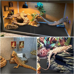 24 × 118″ Large Reptile Carpet,Bearded Dragon Tank Accessories,Reptile Mat, Leop