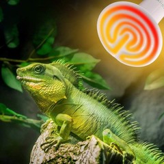 Long-Lasting 60W Infrared Heat Lamp – Perfect for Reptiles & Animal Comfort