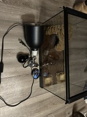 10gallon ReptileCage with light 2lightbulbs,the mat,the home,food and water bowl