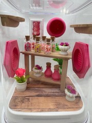 Candy Shop Jumping Spider Enclosure – Colorful Terrarium Home for Jumping Spider