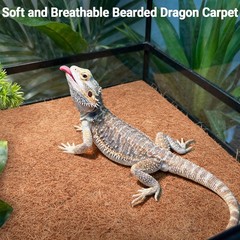 Reptile Carpet 12×12 Inch 100% Natural Coconut Fiber Mat – Ideal for Bearded