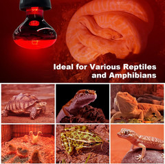 2 Pack Infrared Heat Lamp Bulbs, 100W Reptile Heat Emitter Infrared Basking Spot