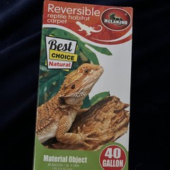 Reptile Habitat Carpet